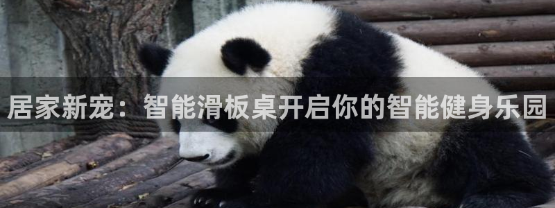 fb体育集团简介：居家新宠：智能滑板桌开启你的智能健身乐园