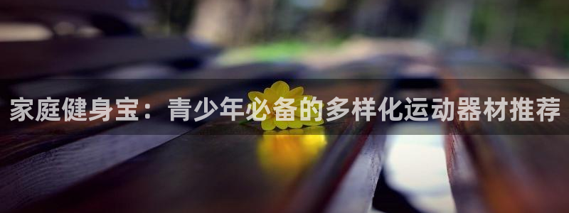 fb体育神州：家庭健身宝：青少年必备的多样化运动器材