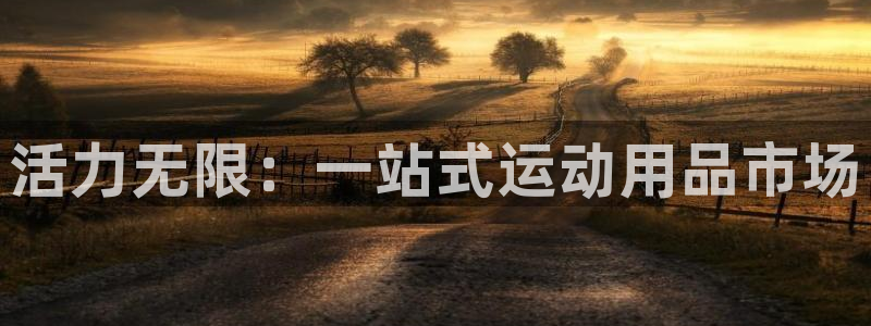 fb体育神州：活力无限：一站式运动用品市场