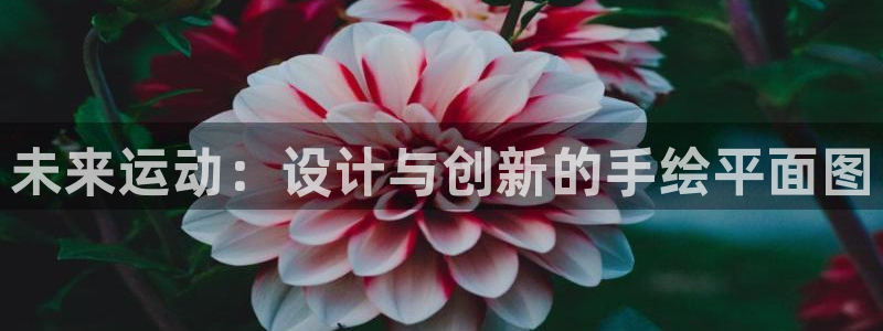 fb体育招商电话是多少号码：未来运动：设计与创新的手绘平面图