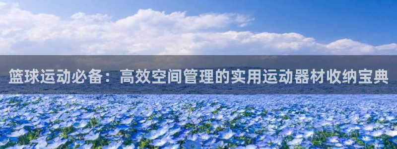 fb平台体育：篮球运动必备：高效空间管理的实用运动器