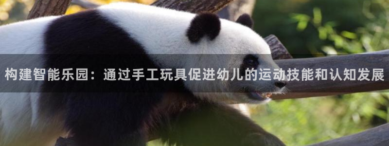 fb体育集团logo：构建智能乐园：通过手工玩具促进