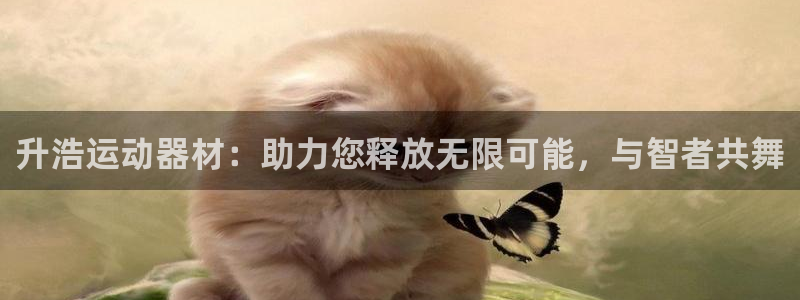 fb体育：升浩运动器材：助力您释放无限可能，与智者共舞