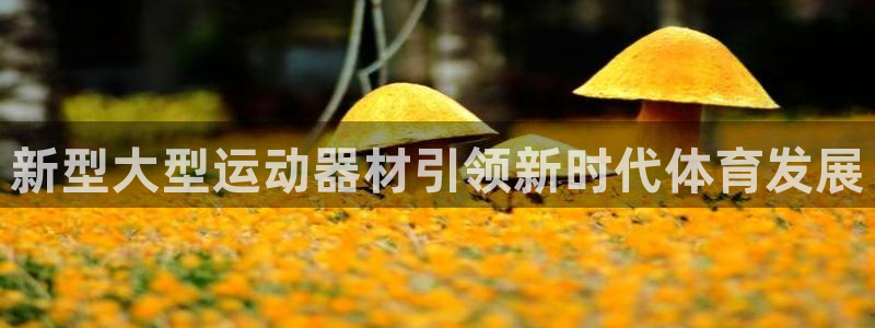 fb体育是干嘛的公司