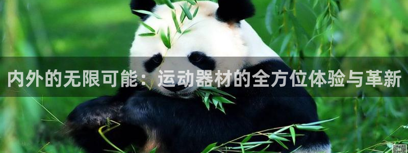 fb体育招商电话是多少号码：内外的无限可能：运动器材